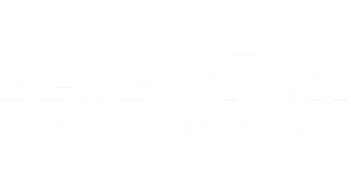 Blue Star Power Systems Inc